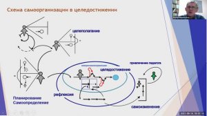 Верхоглазенко В.Н. Групповой коучинг по  развитию самоорганизации