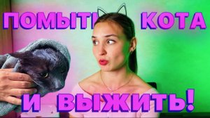 Первый раз ИДУ с КОТОМ на ГРУМИНГ😱 ПЕРХОТЬ У КОТА! #top #cat #сибирскаякошка #мейнкун