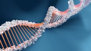 "Звуковая матрица для восстановления зубов"