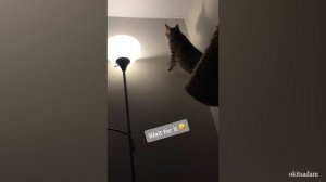 Только позитив