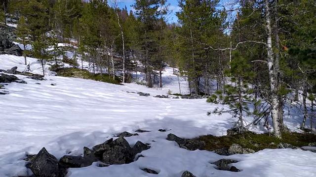 На Павдинском Камне