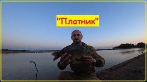 "Платник" 2024, "В поисках карпа".