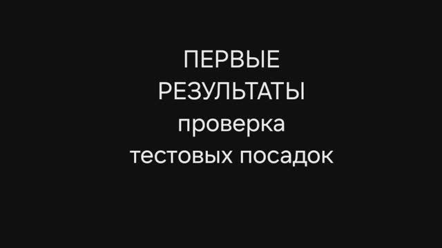 Первые результаты (проверяем посадки технологии Древорост)