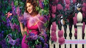 исп.Саша Иркутский  -Цветет в саду сирень...