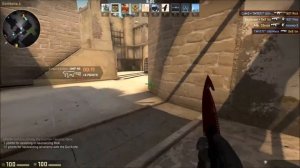 CS:GO - Gut Knife Crimson web Field-Tested Showcase
