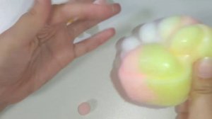 Таба лапка сквиш