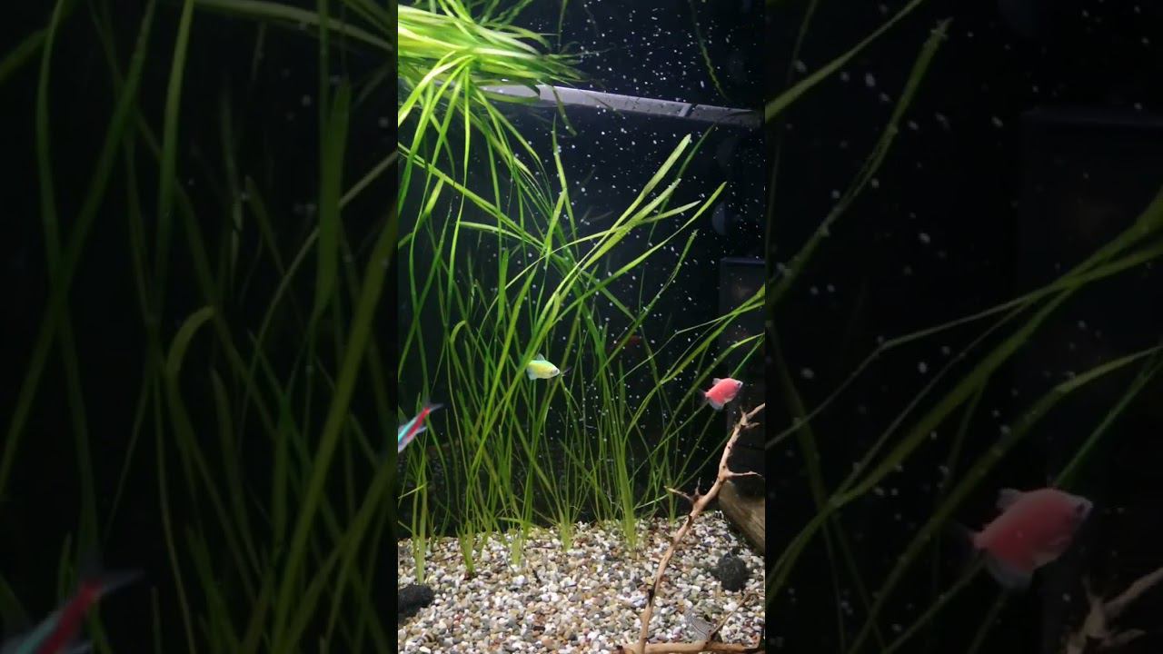 140 литров смотреть онлайн