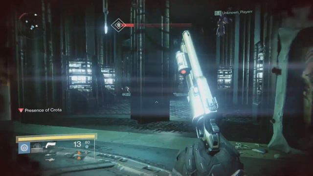 How to get the Crux of Crota - Worlds first Necrochasm owner tells all!