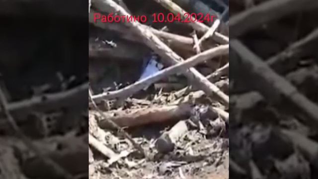 Запорожский фронт Работино. Якудза на связи