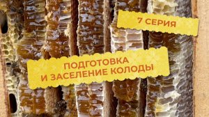 7 серия. Подготовка и заселение колоды