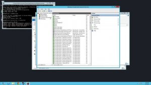 ARK: SE Dedicated Server Setup