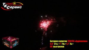 Салют, фейерверк TKB295 Адреналин 99 х 0,8 -1 - 1,2