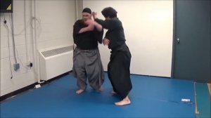 Difference between jujutsu and aiki myoden