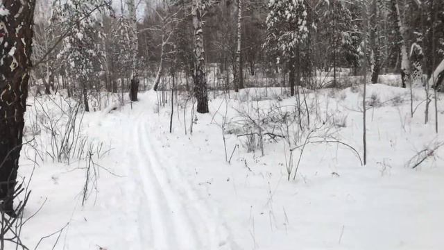 Открытие лыжного сезона.  26.12.2021 г.