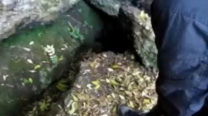 Сережа и скала