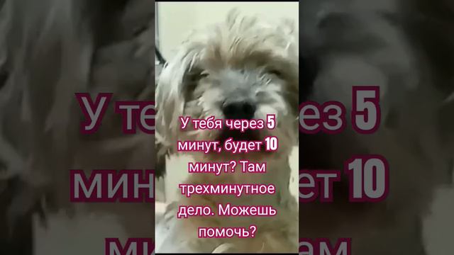 А есть аремя.? Не понял...