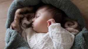 Коллекция Elodie Fairytale Forest