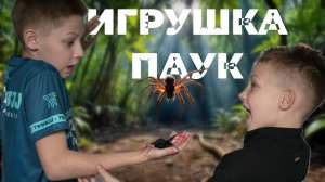 Игрушка паук