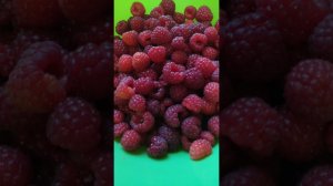 Воспоминания о лете 2024