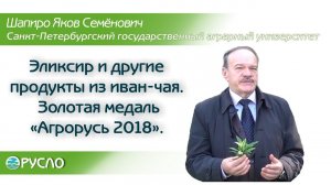 Эликсир и другие продукты на основе иван-чая. Золотая медаль "Агрорусь 2018".