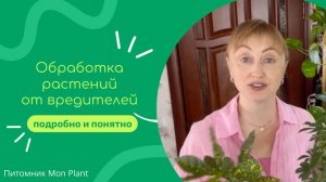 Обработка растений от вредителей - паутинный клещ, препараты, методика