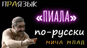 «ПИАЛА» что означает? Этимология слова - праязык