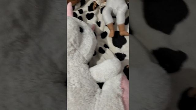 1000008222.mp4 смотреть онлайн