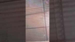 🥰Sunita Rao🥰 is live hello YouTube family