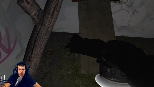 ЛЕС МАХНАТОК (Cry of Fear) #6 смотреть онлайн