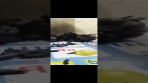 Multiverse plasticine 5