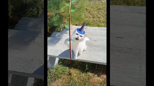 Рыцарь Жезлов - гадание Фамильяров.
