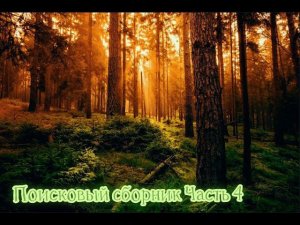 Поисковый сборник Часть 4