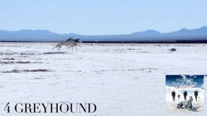 Top 10 Swedish House Mafia Songs [as of 2018]