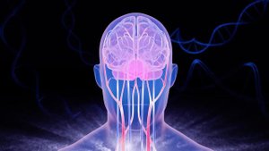 Чистка сосудов головы . Звуковая матрица