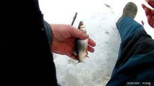 И снова седьмой залив,Тёплая палатка!