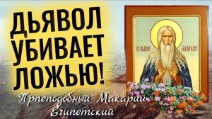 Вот почему нужно избавляться от негативных мыслей!- Прп. Макарий Египетский. Духовные беседы