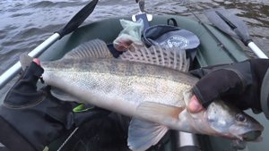 ЖОРИСТЫЙ КЛЁВ - ОДИН ЗА ОДНИМ!!!! Зимняя рыбалка на судака на спиннинг