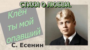 Клён ты мой опавший. Стихи есенина о любви. Красиво исполнено.