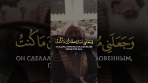 О Марьям (Мария) ты совершила тяжкий поступок... | Мухаммад аль-Люхайдан