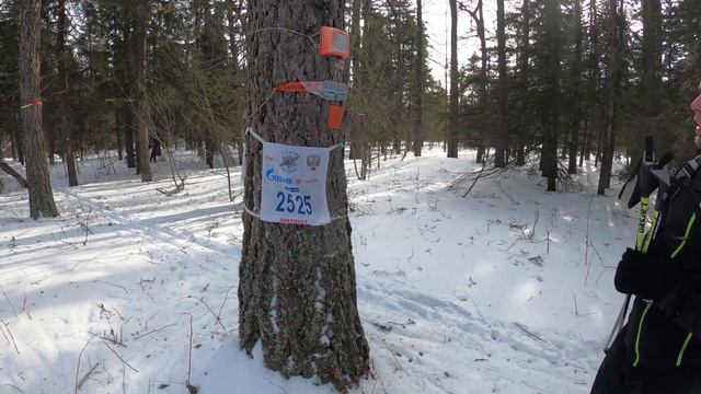 Уральские горы. Уреньга. Лыжная прогулка. 14.02.2021 г.