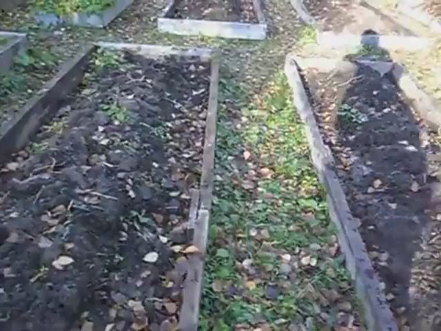 Первый заморозок