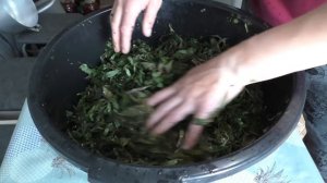 ИВАН ЧАЙ. Ферментация иван-чая! ВСЁ ОЧЕНЬ ПРОСТО!