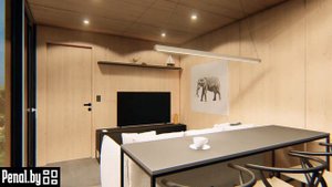 Быстро сборный дом Пенал 27м2.