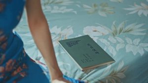 Мистер и миссис Чэнь 1 сезон 16 серия