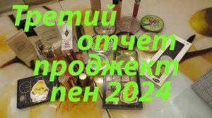 ТРЕТИЙ ОТЧЕТ ПРОДЖЕКТ ПЕН!!! ЕСТЬ ИЗМЕНЕНИЯ)))