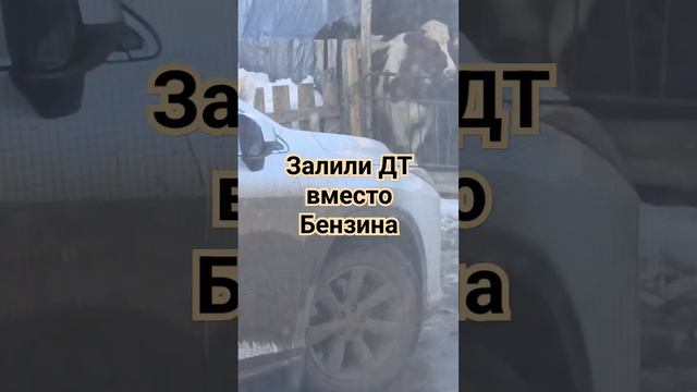 ДТ вместо бензина. Солярка. Дизель.