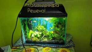 Исправила Катастрофу. Надеюсь больше не будет такого