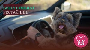 Geely Coolray рестайлинг. Цены, отличия от китайской версии