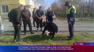 Закладчик из Ревды