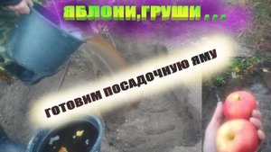 Посадочная яма под яблоню,грушу.Как подготовить быстро и правильно